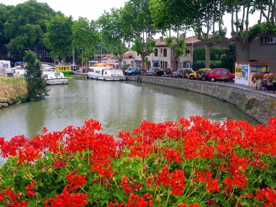 Appartamento Chez Gaelle Trèbes Esterno foto