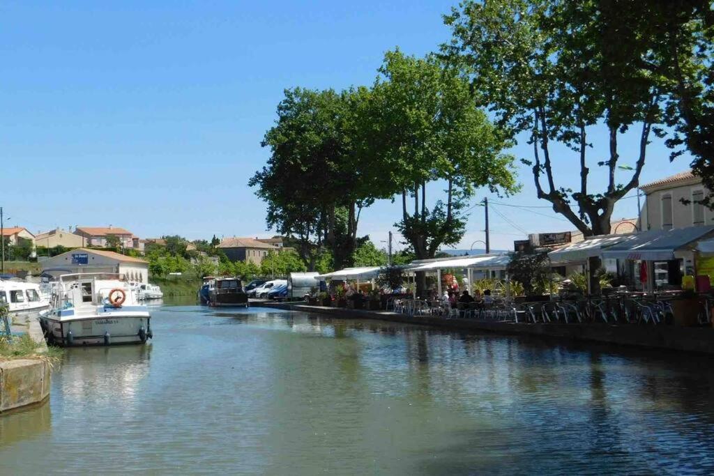 Appartamento Chez Gaelle Trèbes Esterno foto